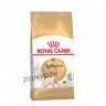 Royal Canin Sphynx (Роял канин) сухой корм для кошек породы Сфинкс