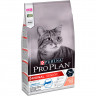 Pro Plan сухой корм для пожилых кошек 7+ с лососем