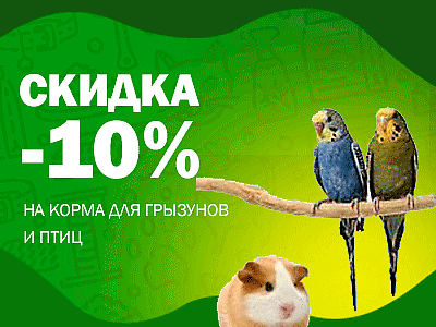 Скидка 10% на корма для птиц и грызунов