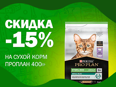 Скидка 15% на сухие корма Pro Plan д/кошек 400г