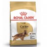 Royal Canin French Bulldog Adult сухой корм для собак породы Франщузский бульдог