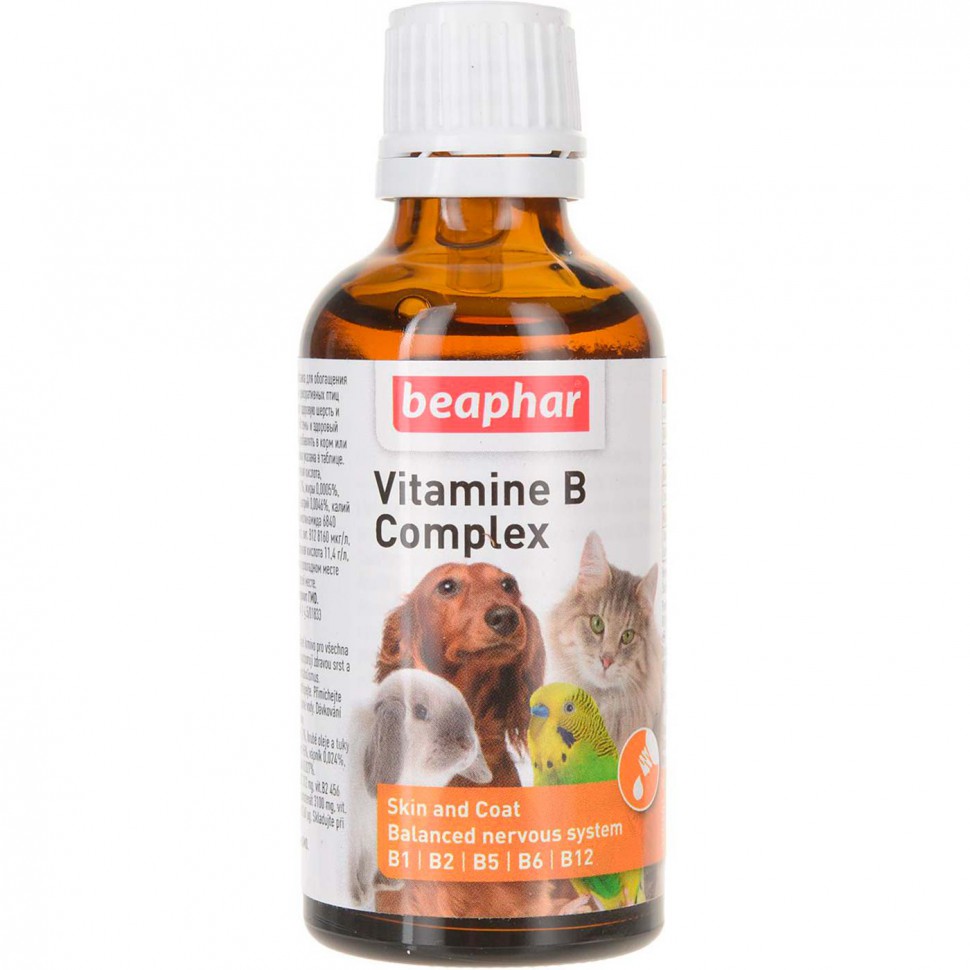 vitamine vitamine b
